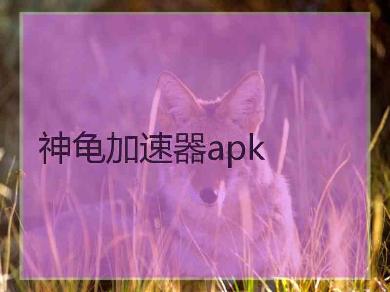 神龟加速器apk