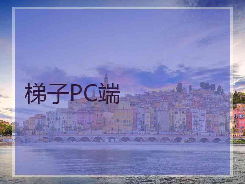 梯子PC端