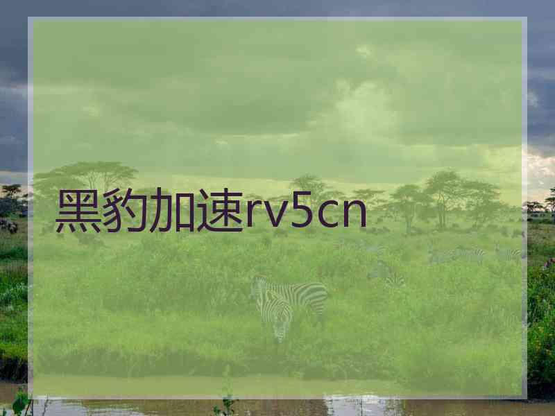 黑豹加速rv5cn