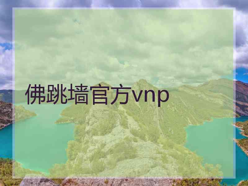 佛跳墙官方vnp