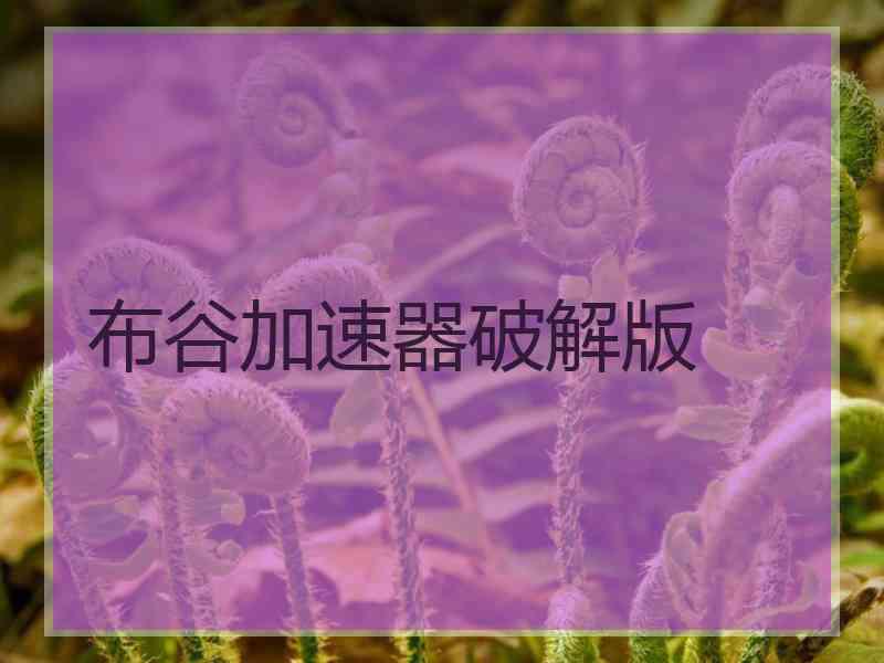 布谷加速器破解版