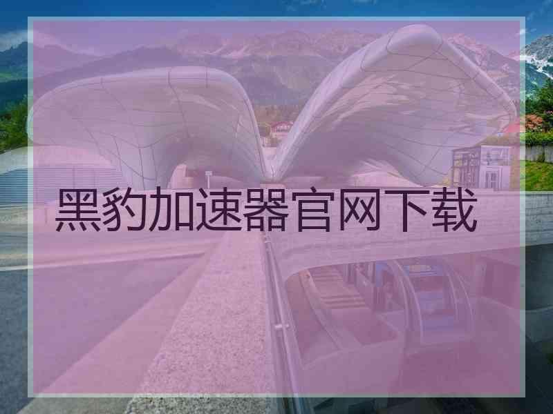 黑豹加速器官网下载