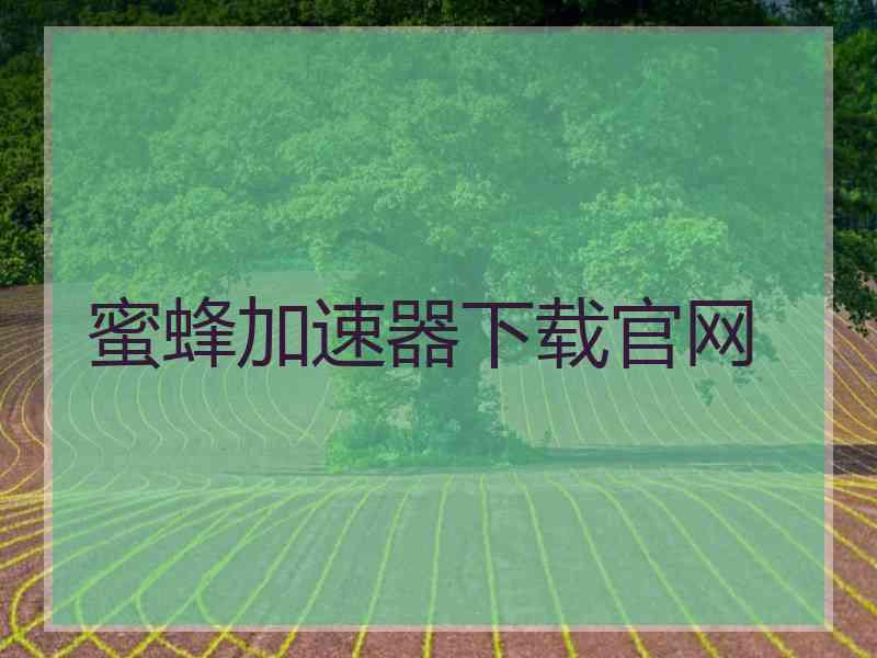 蜜蜂加速器下载官网