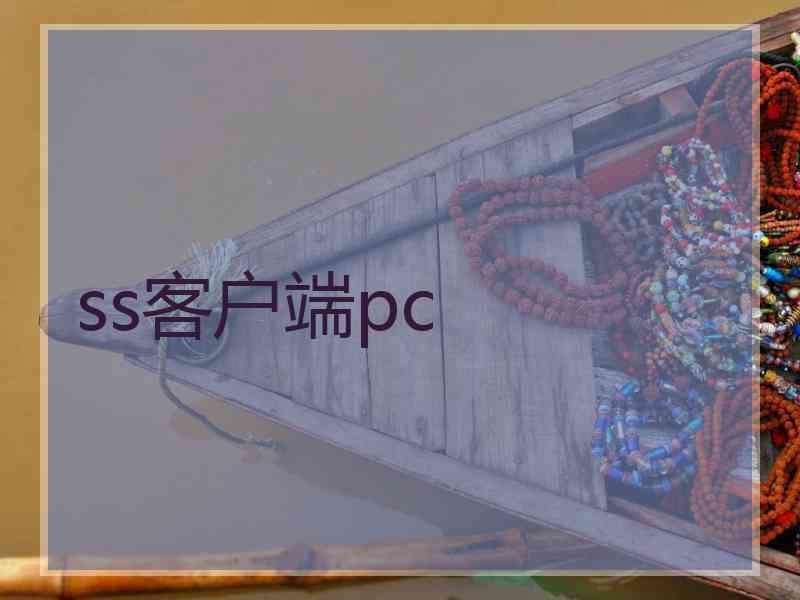 ss客户端pc