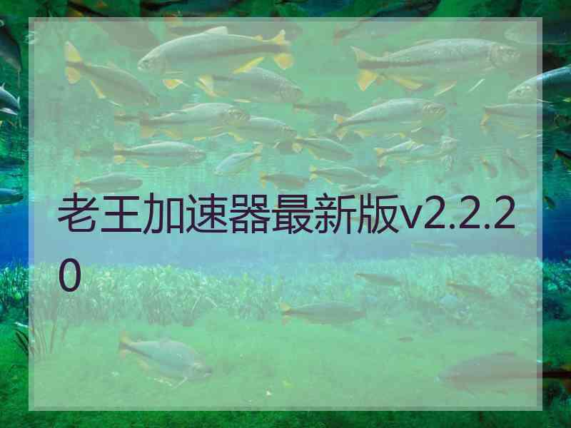 老王加速器最新版v2.2.20