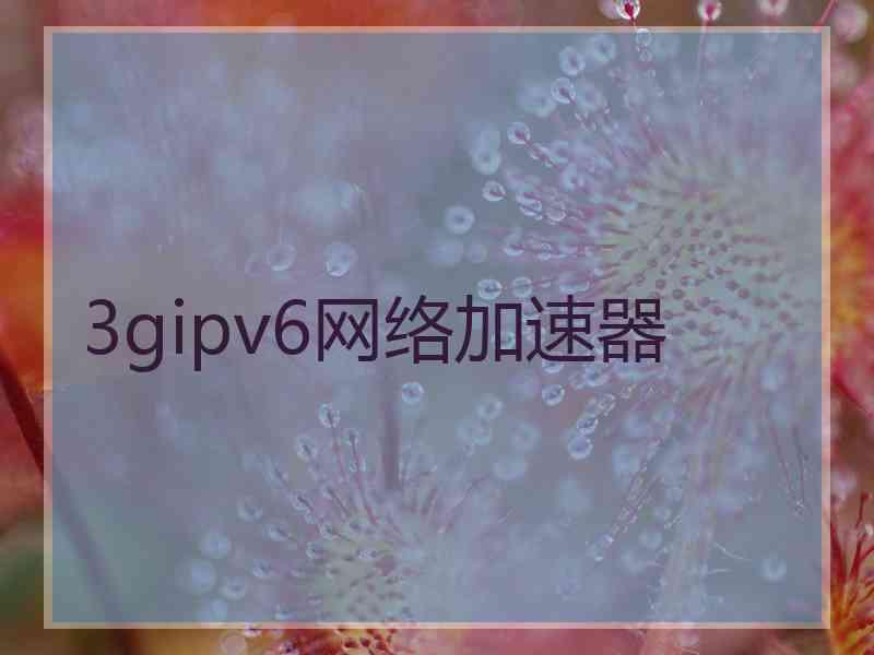 3gipv6网络加速器