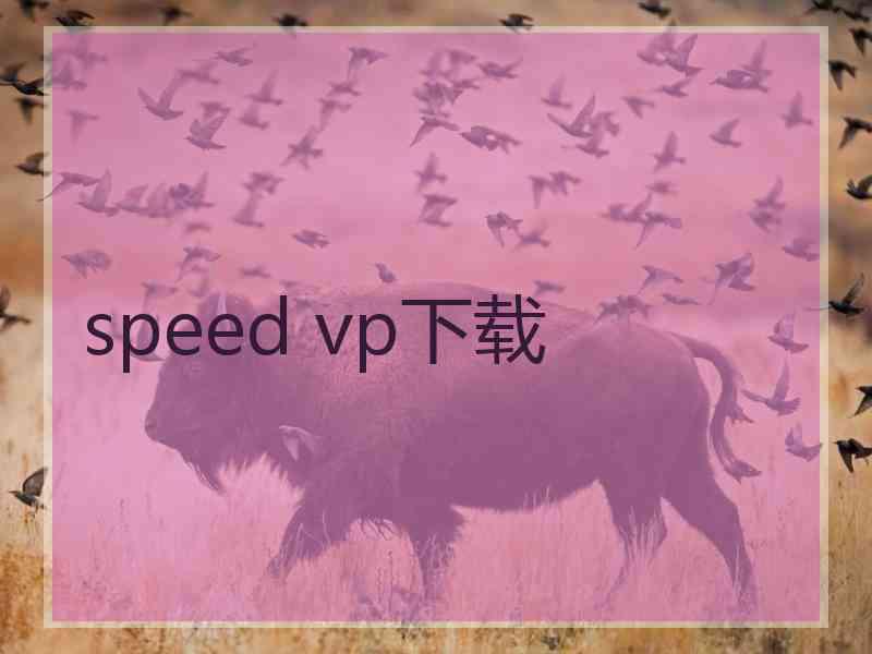 speed vp下载