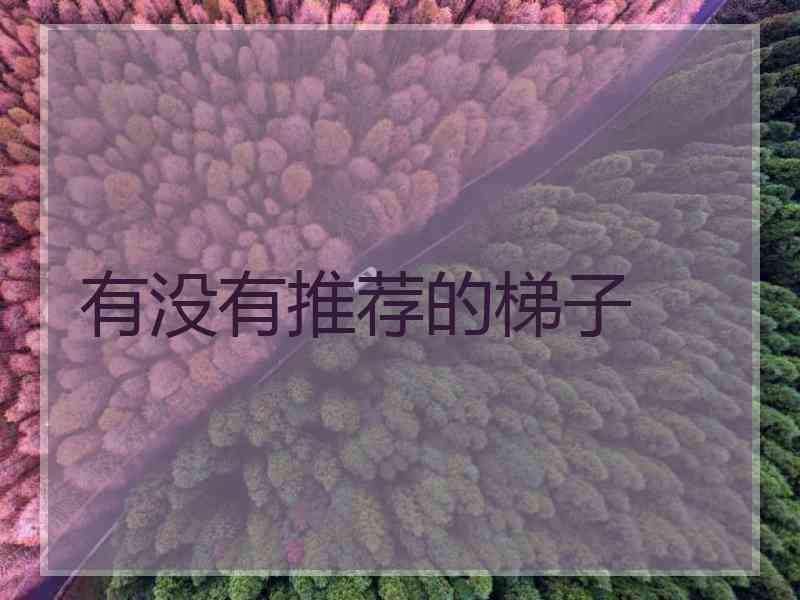 有没有推荐的梯子