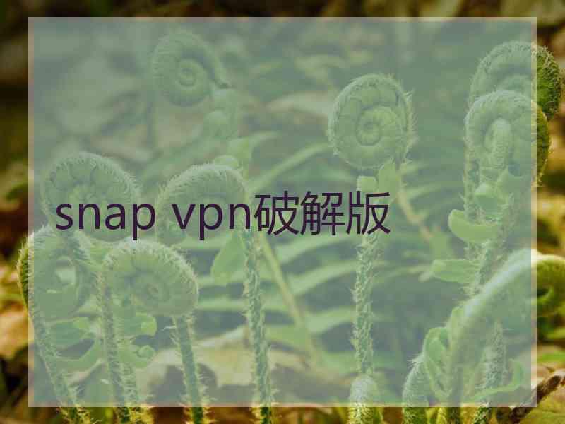 snap vpn破解版