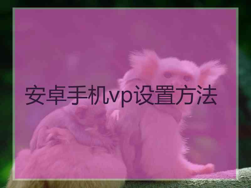 安卓手机vp设置方法