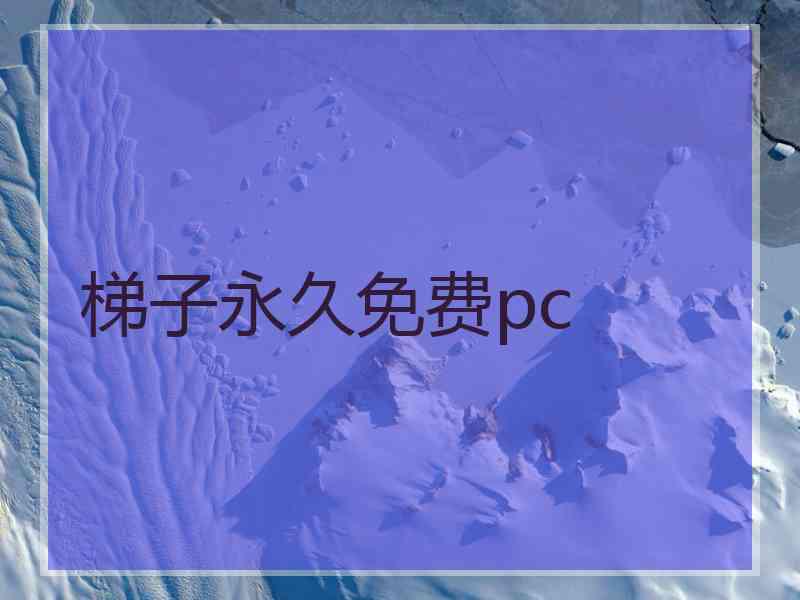 梯子永久免费pc