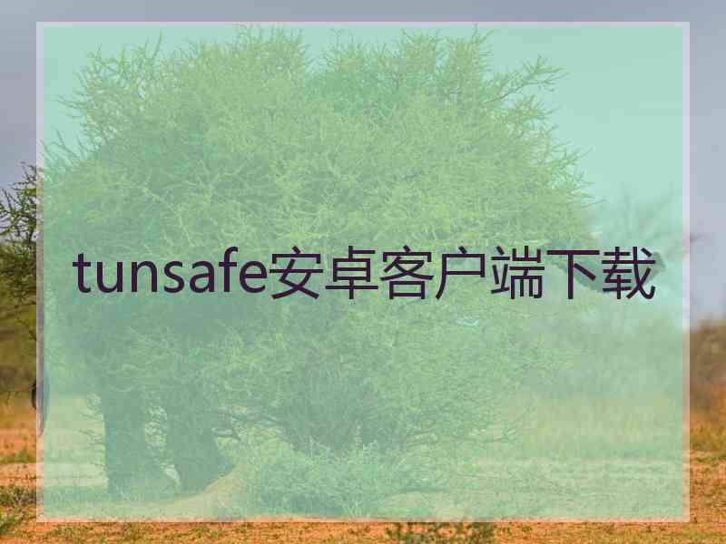 tunsafe安卓客户端下载