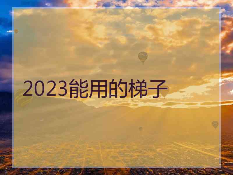 2023能用的梯子