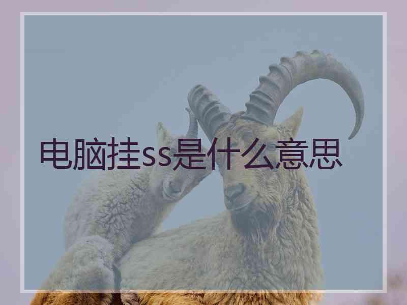 电脑挂ss是什么意思