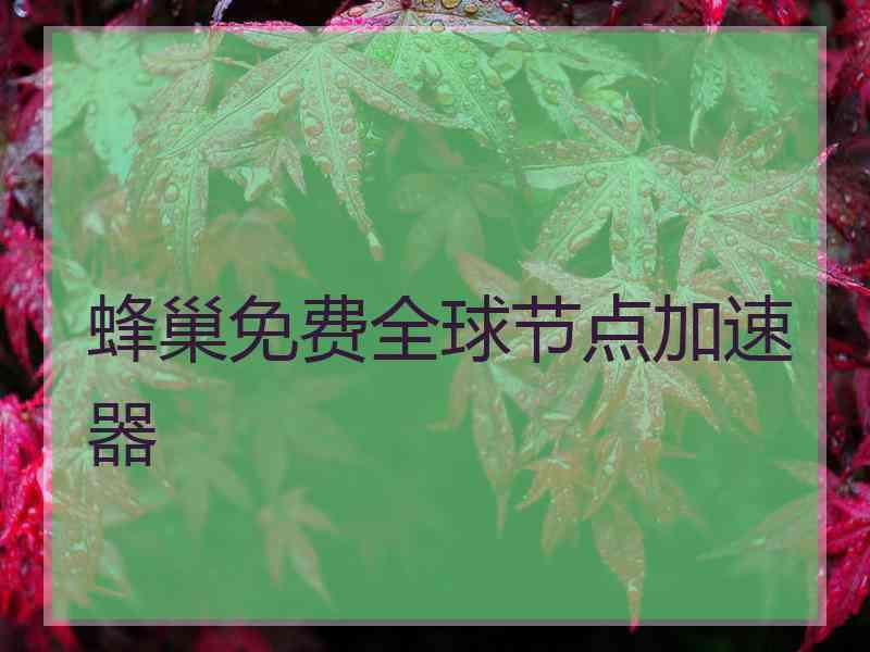 蜂巢免费全球节点加速器