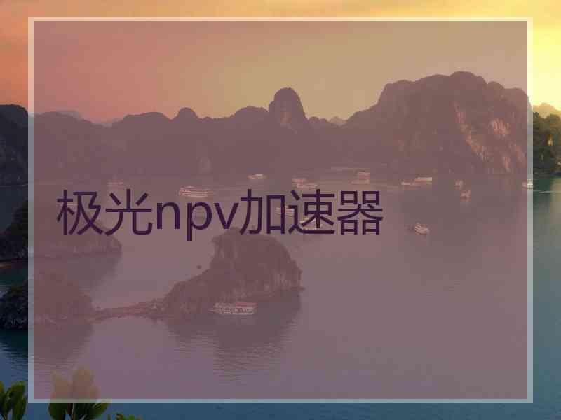 极光npv加速器