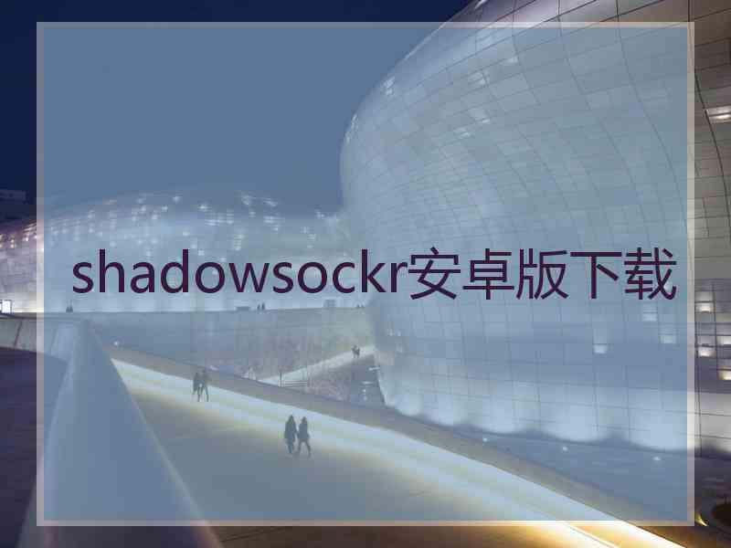 shadowsockr安卓版下载