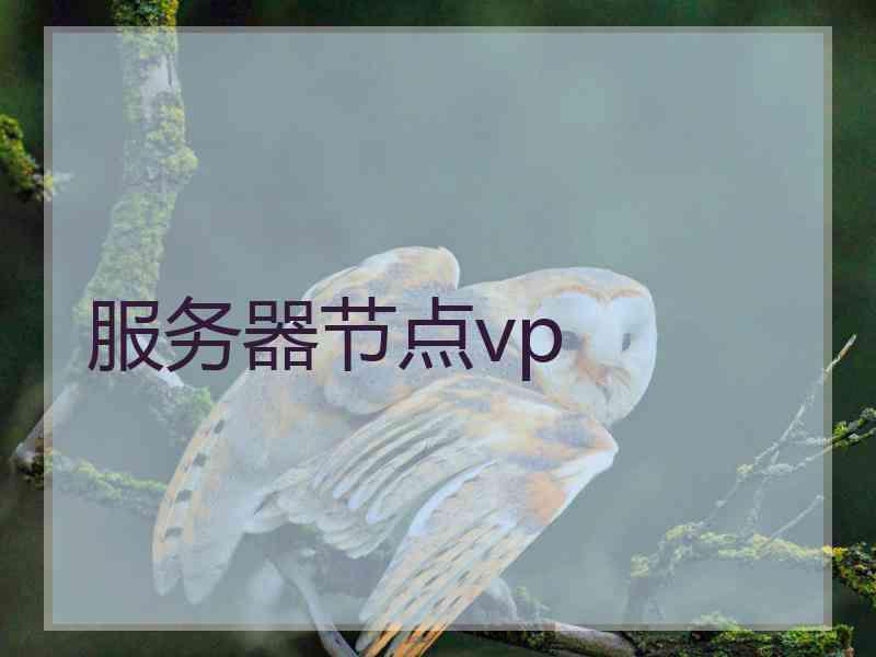 服务器节点vp