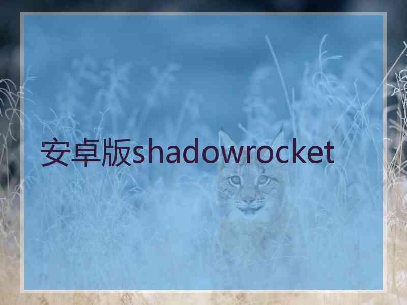 安卓版shadowrocket