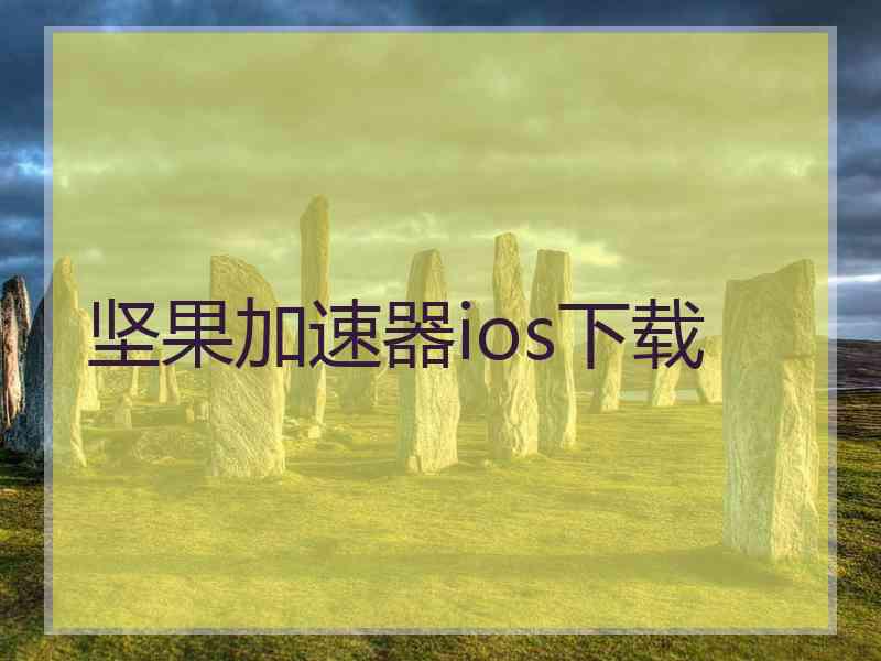 坚果加速器ios下载