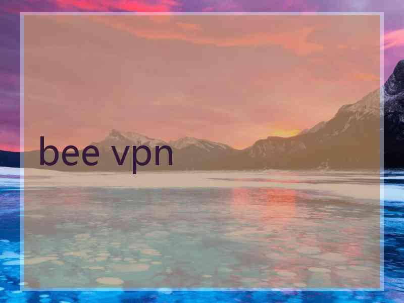 bee vpn